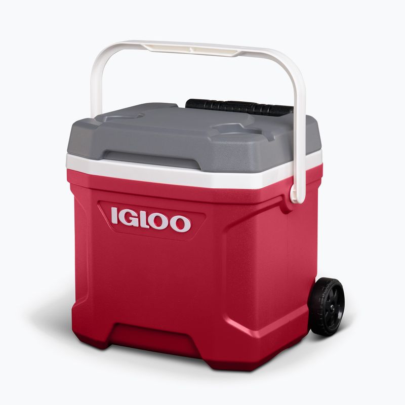 Igloo Latitude 16 Qt Roller 15 l Industrie rot/ Meteorit Touring Kühlschrank 3