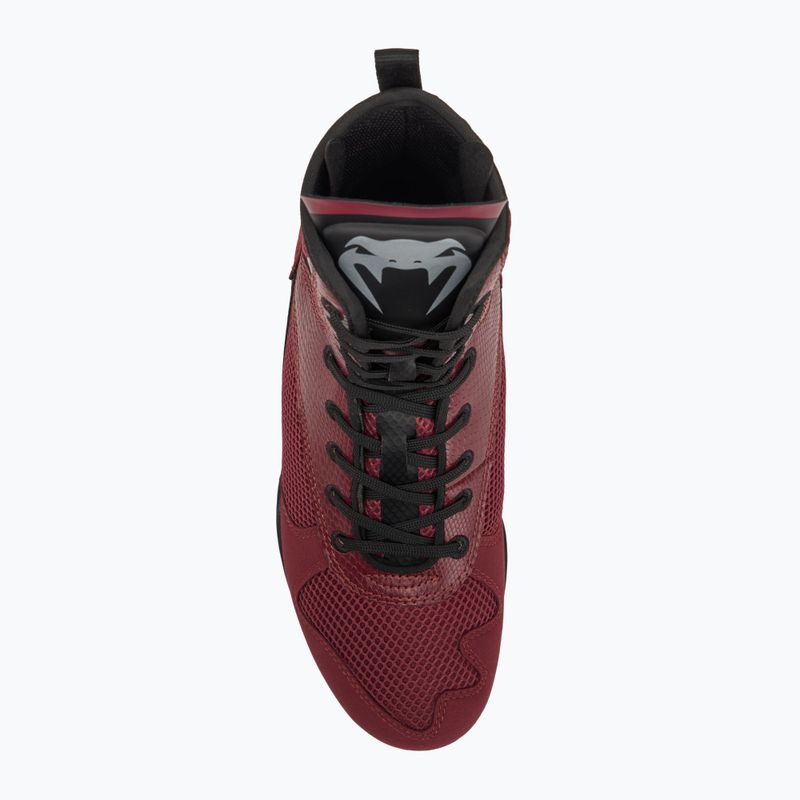 Venum Elite Boxing Schuhe Wein lees/silbernes Logo 5