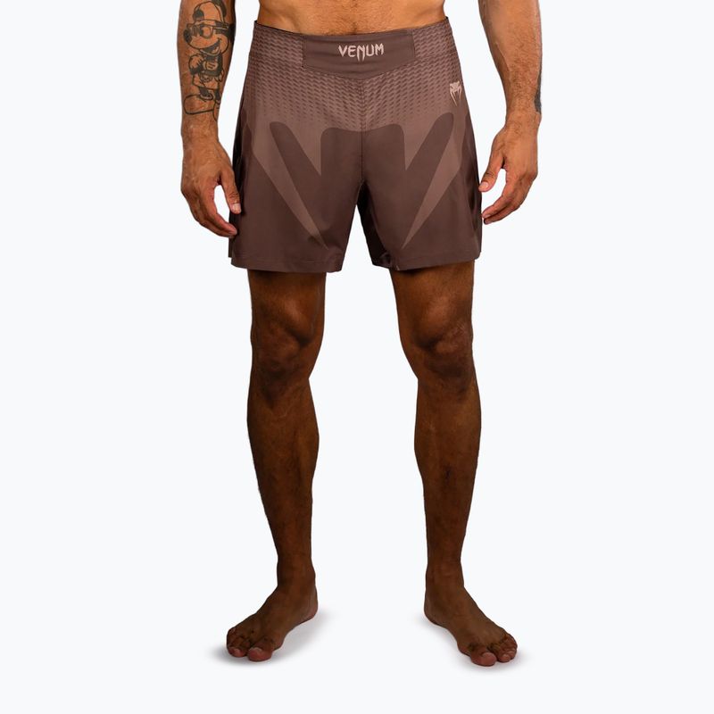 Herren Trainingsshorts Venum No Gi chocolate brown