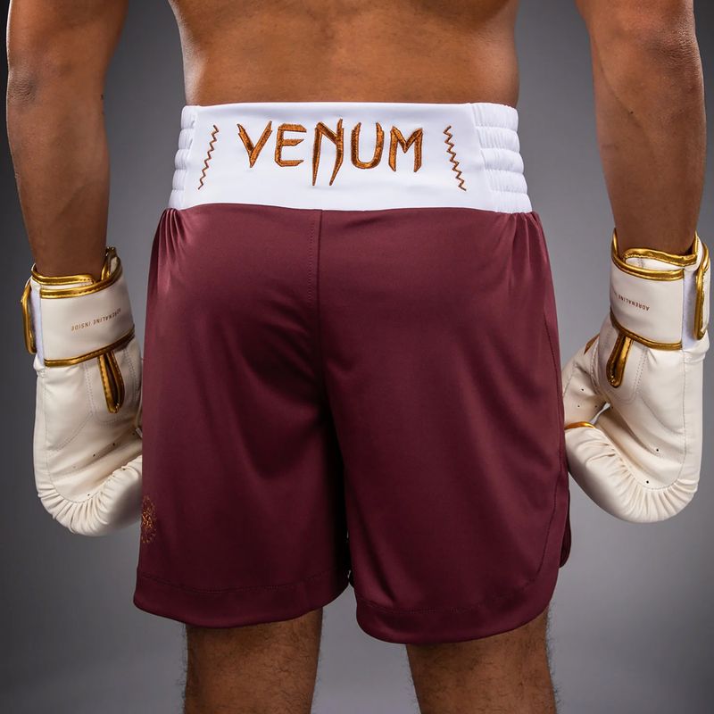Trainingsshorts Herren Venum Classic Boxing burgundy 6