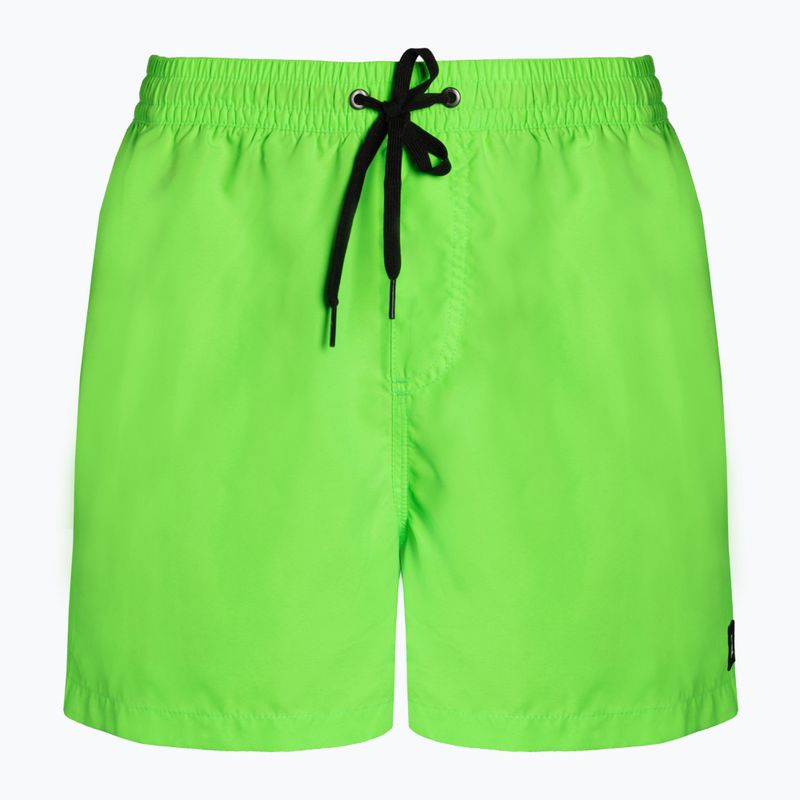 Quiksilver Everyday 15  Herren-Badeshorts grün EQYJV03531