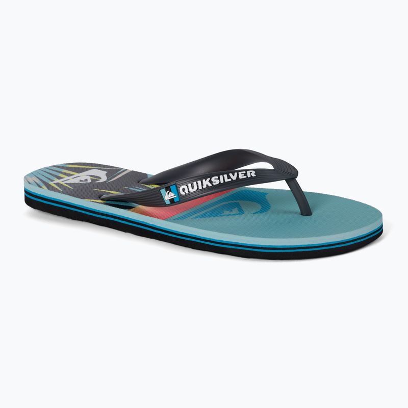 Herren-Flip-Flops Quiksilver Molokai Panel blue