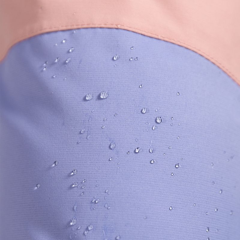Snowboard-Hose für Frauen ROXY Chloe Kim Bib 2021 mellow rose 2