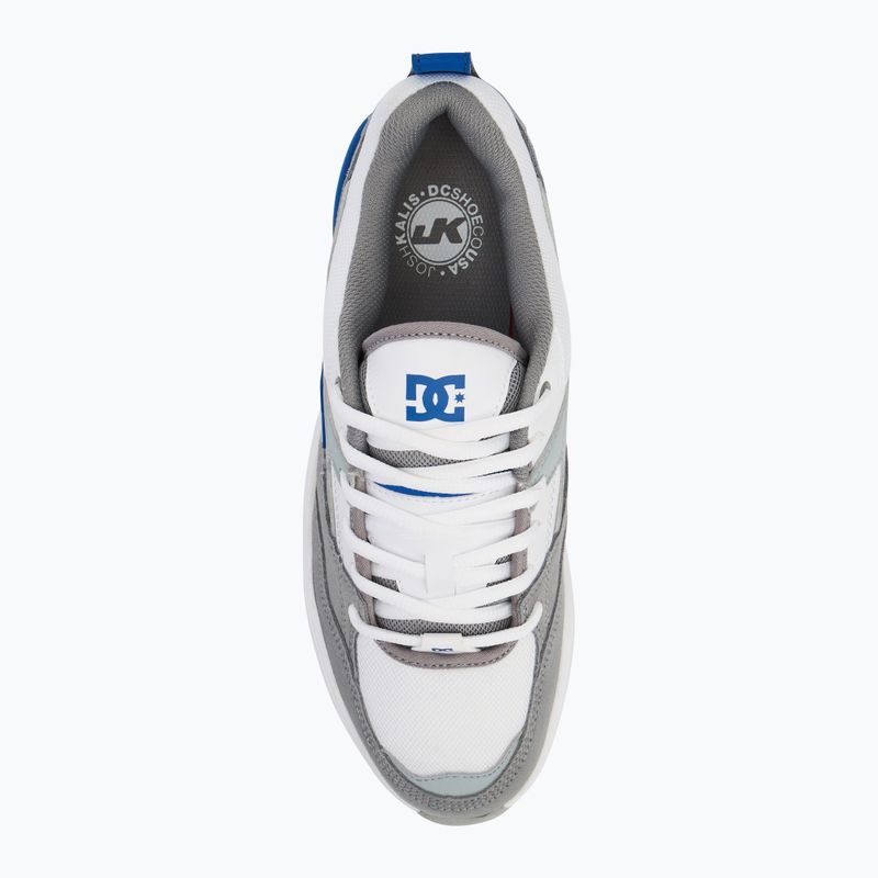 Schuhe Herren DC Ascend white / grey / blue 5