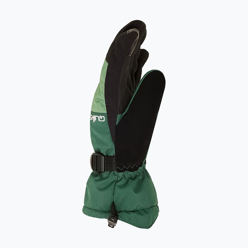 Rękawice snowboardowe męskie Quiksilver Mission trekking green 4