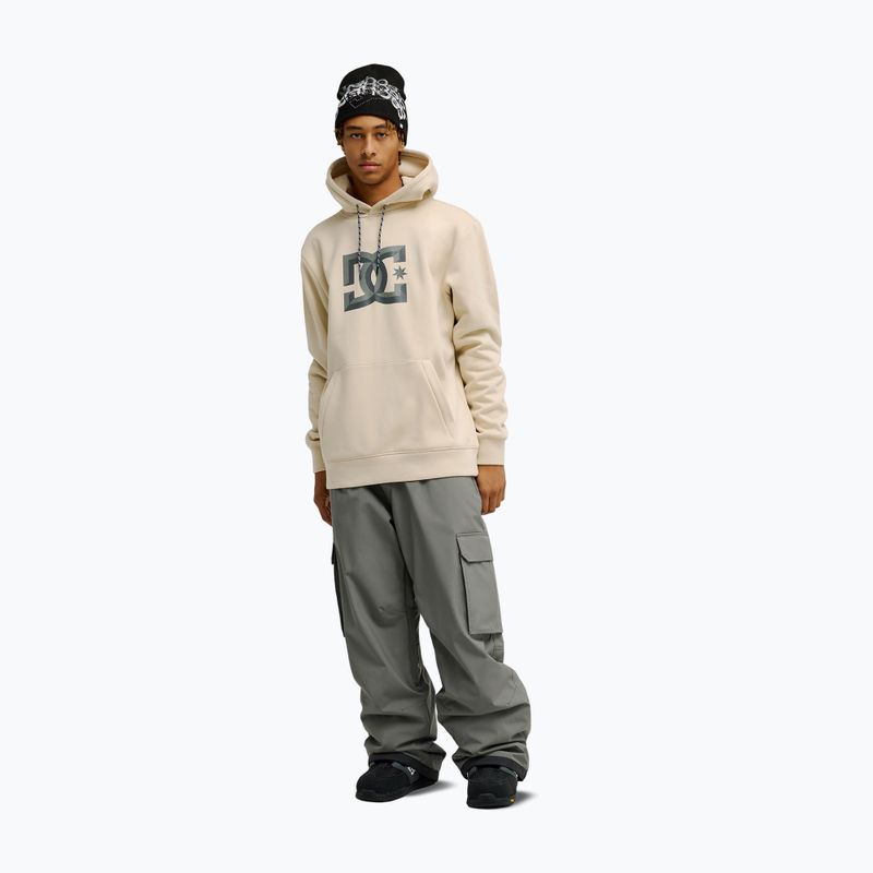 Herrenpullover DC Snowstar oatmeal 2
