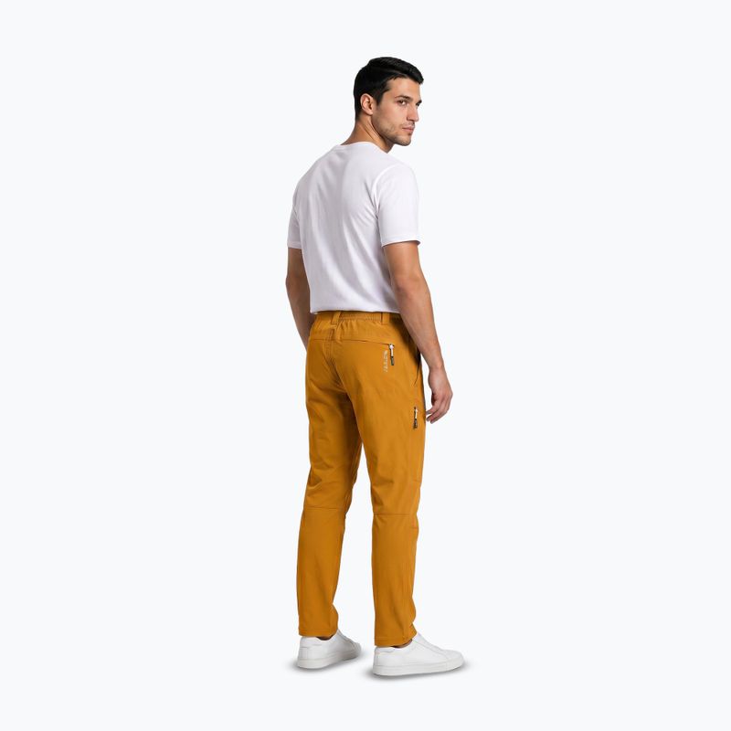 Herren-Trekkinghose Aulp Brady kombucha 3