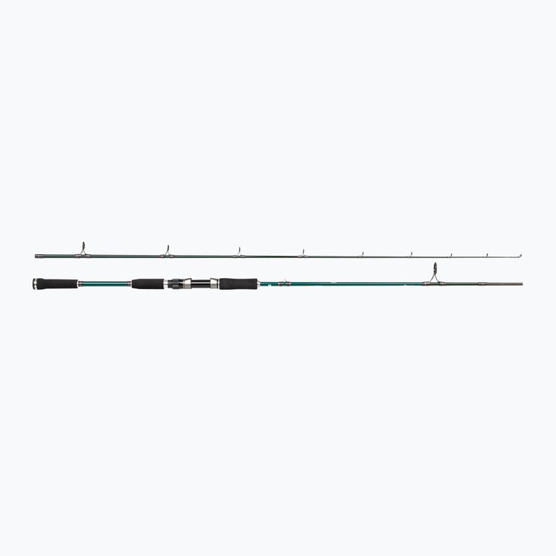 Abu Garcia Beast X Pike 842 H Rute