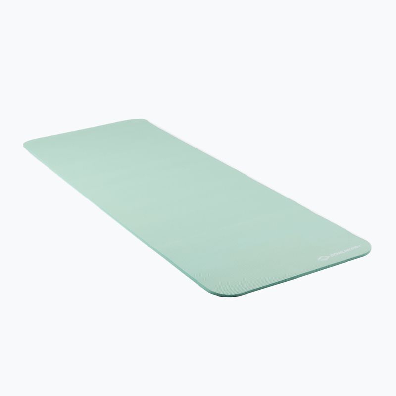 Schildkröt Fitnessmatte grün 960065