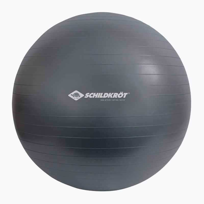 Schildkröt Gymnastikball grau 960157