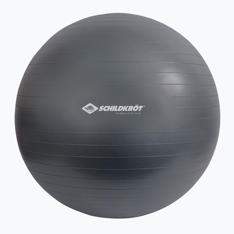 Schildkröt Gymnastikball grau 960158