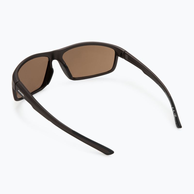 Alpina-Sonnenbrille 2