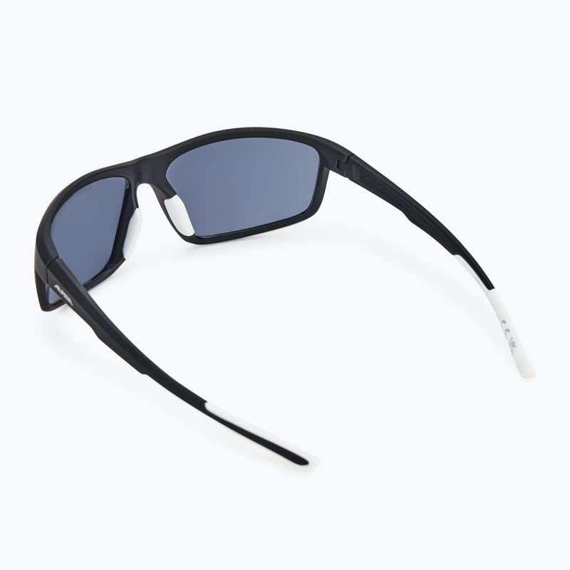 Alpina-Sonnenbrille 2