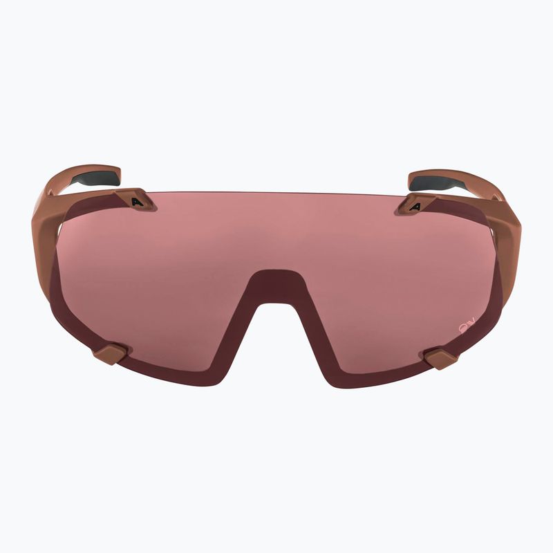 Alpina Hawkeye Q-Lite Ziegel matt/schwarz rot Spiegel Sonnenbrille 2