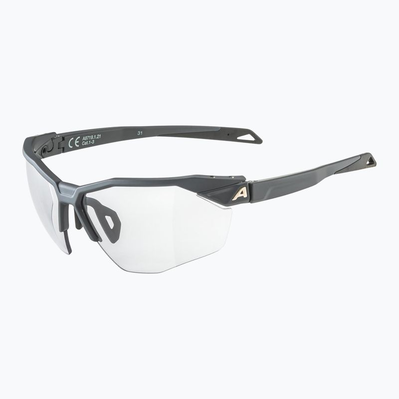 Alpina Twist Six Hr V Mitternachtsgrau matt/schwarz Sonnenbrille 5