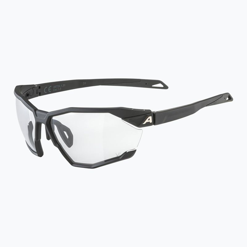 Alpina Twist Six V schwarz matt/schwarz Sonnenbrille 5