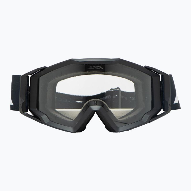 Alpina-Sonnenbrille 2
