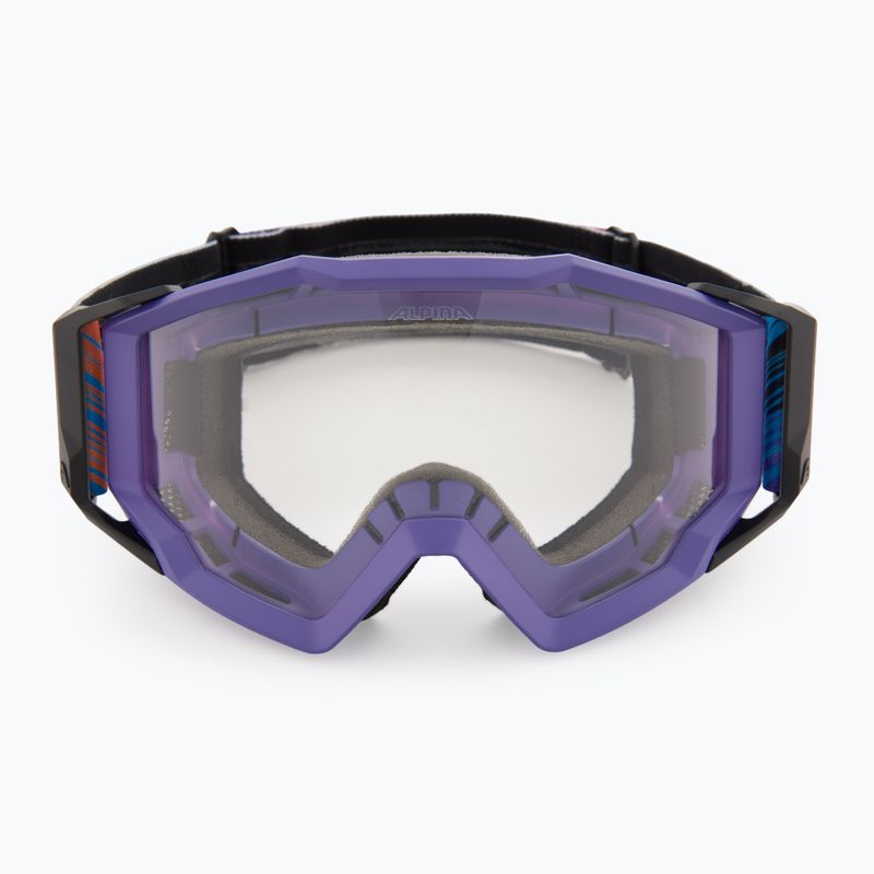 Alpina-Sonnenbrille 2