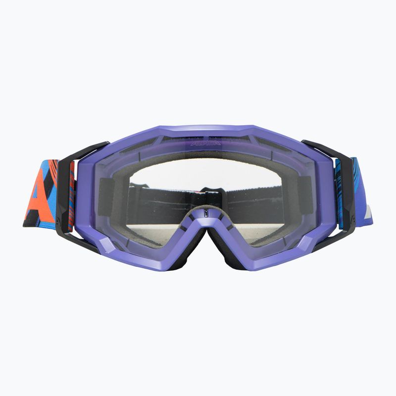 Alpina-Sonnenbrille 2