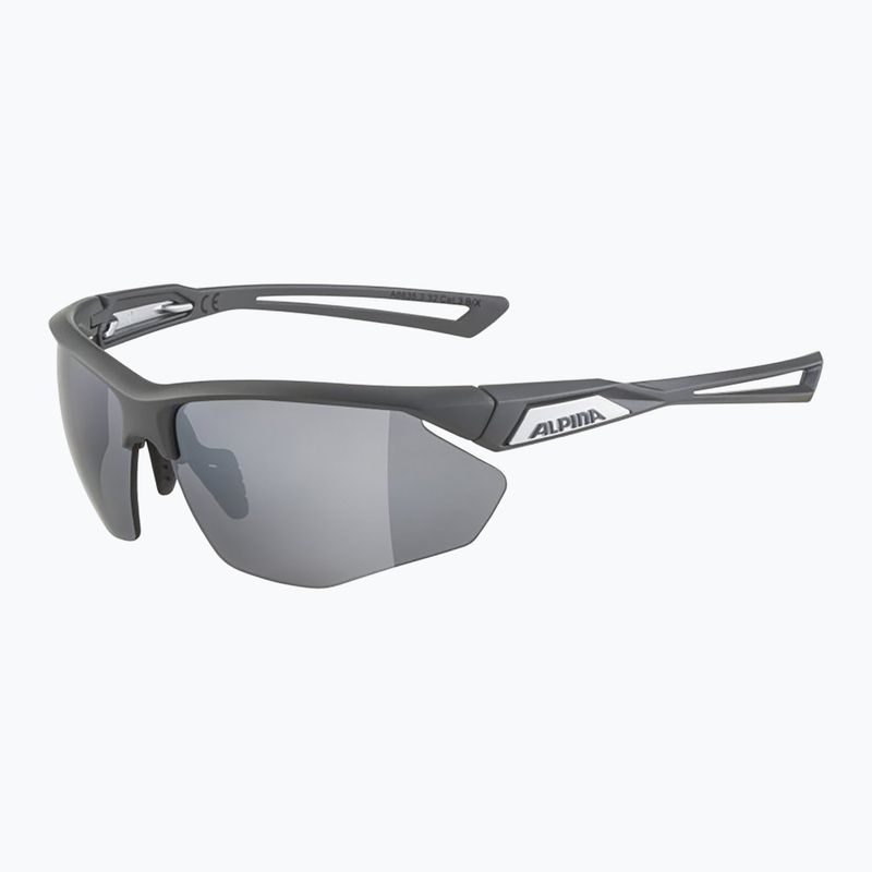 Alpina Nylos HR Mitternachtsgrau matt/Silberspiegel Sonnenbrille 5