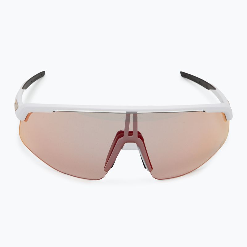 Alpina-Sonnenbrille 3