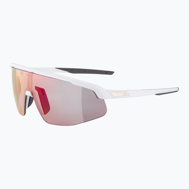 Alpina-Sonnenbrille 6