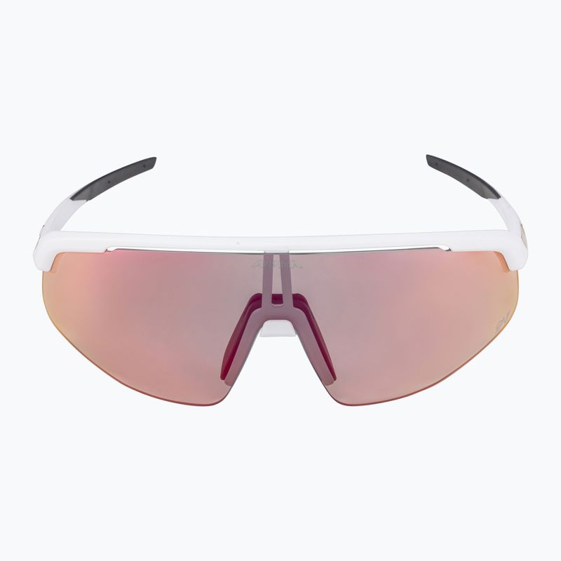 Alpina-Sonnenbrille 7