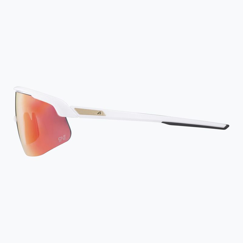 Alpina-Sonnenbrille 8