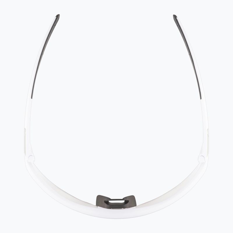 Alpina-Sonnenbrille 6