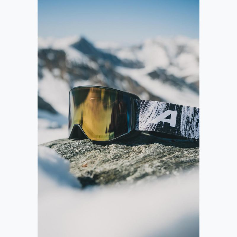 Skibrille Alpina Venet Q-Lite black/glacier matt/blue 5