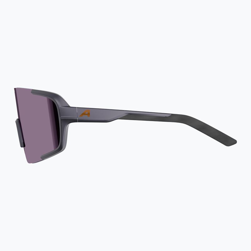 Sonnenbrille Alpina Lumin gun/metallic matte/pink 5