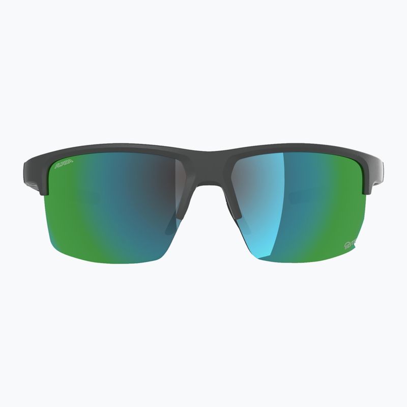 Sonnenbrille Alpina Eagle Q-Lite midnight/grey matt/green 2