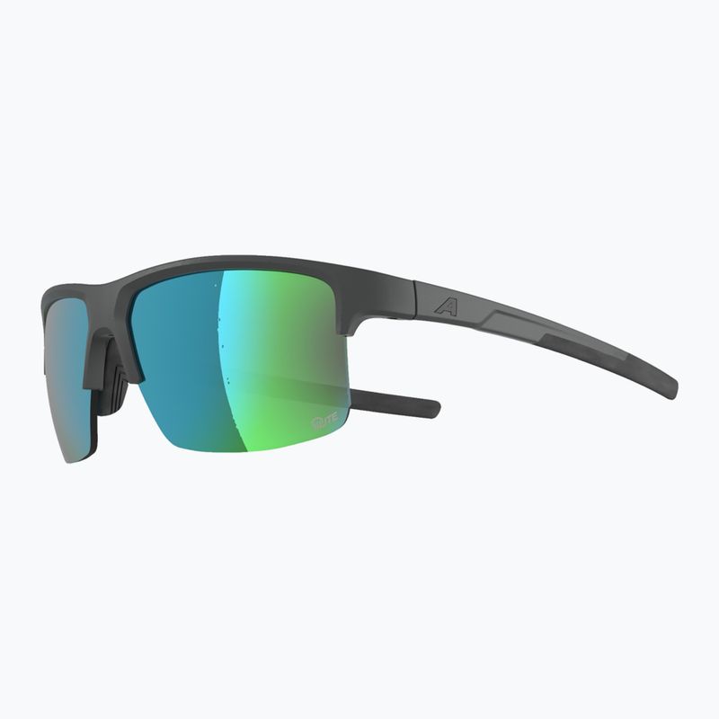 Sonnenbrille Alpina Eagle Q-Lite midnight/grey matt/green 3