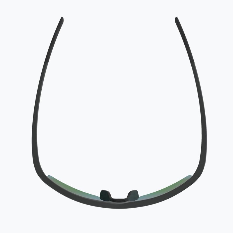 Sonnenbrille Alpina Eagle Q-Lite midnight/grey matt/green 4