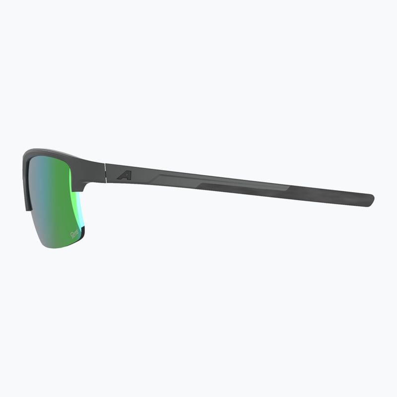 Sonnenbrille Alpina Eagle Q-Lite midnight/grey matt/green 5