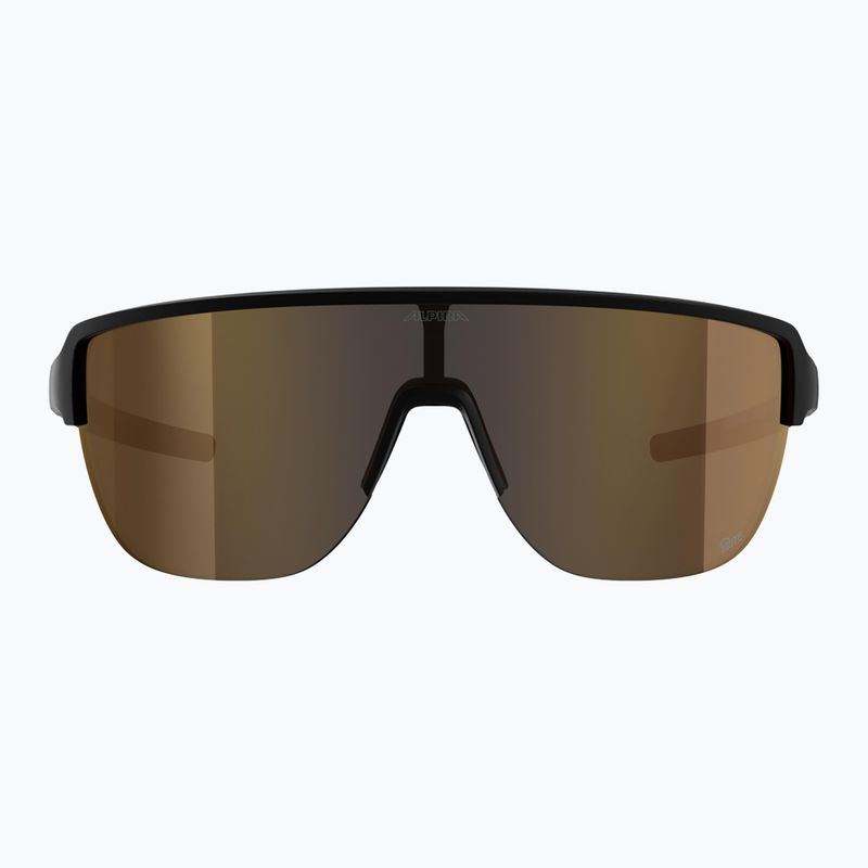 Sonnenbrille Alpina Frame 2.0 Q-Lite black matt/gold mirror 2