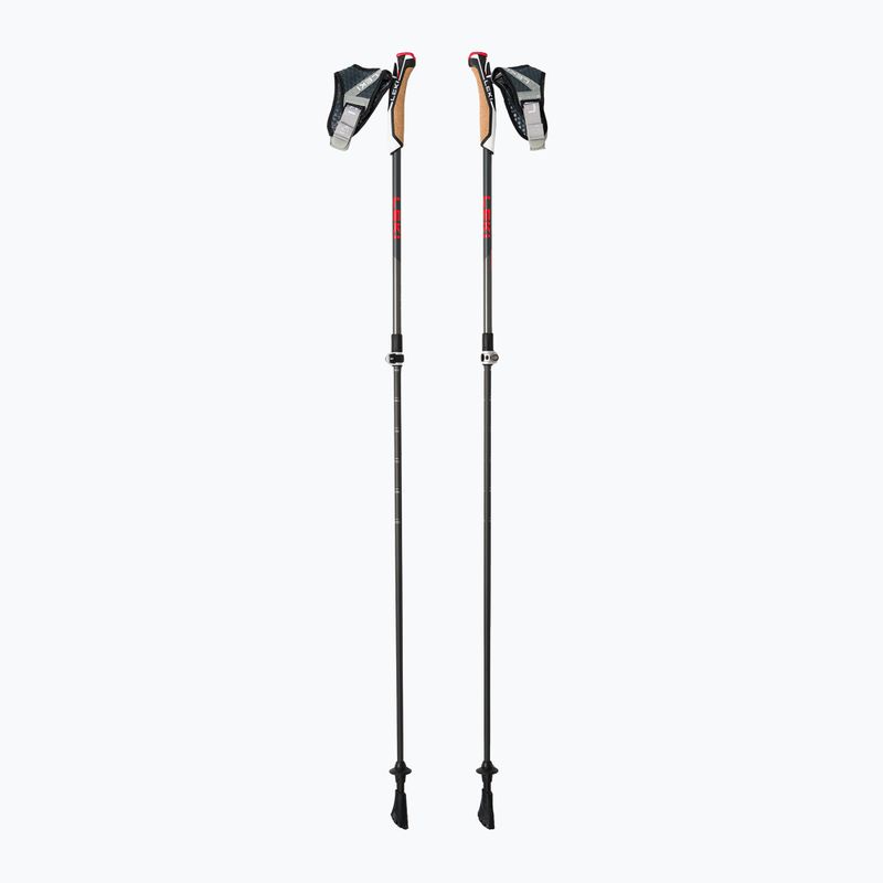 Nordic Walking Stöcke LEKI Instructor Lite schwarz-silber 65326341