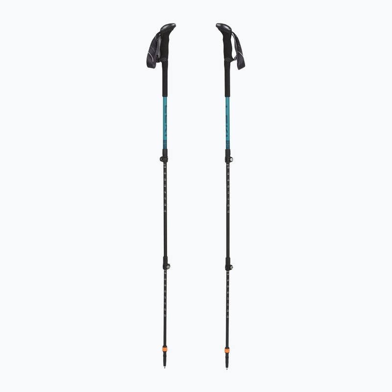 Trekkingstöcke LEKI Makalu Lite AS greenblue light/greenblue dark