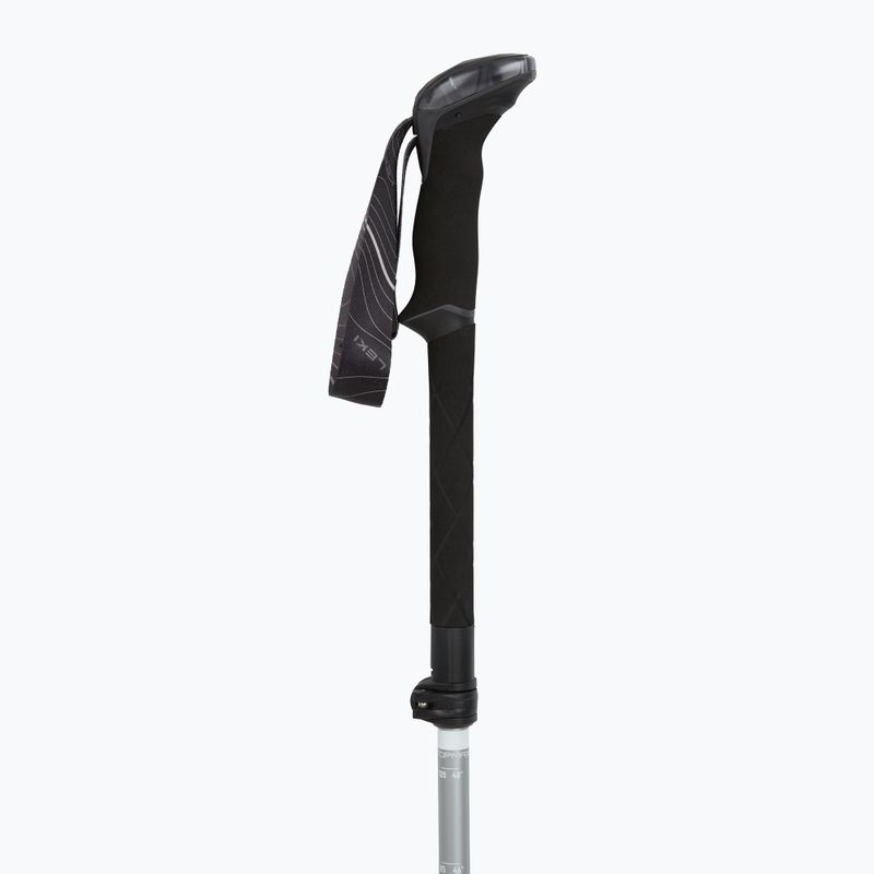 Trekkingstöcke LEKI Makalu FX TA silver/greygreen/white 2