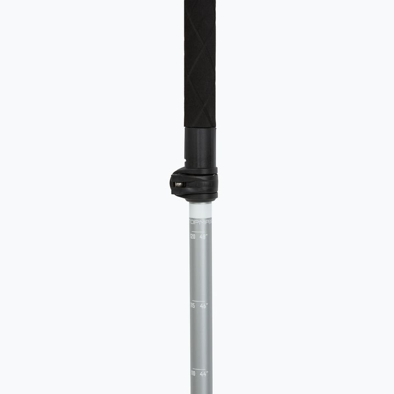 Trekkingstöcke LEKI Makalu FX TA silver/greygreen/white 4