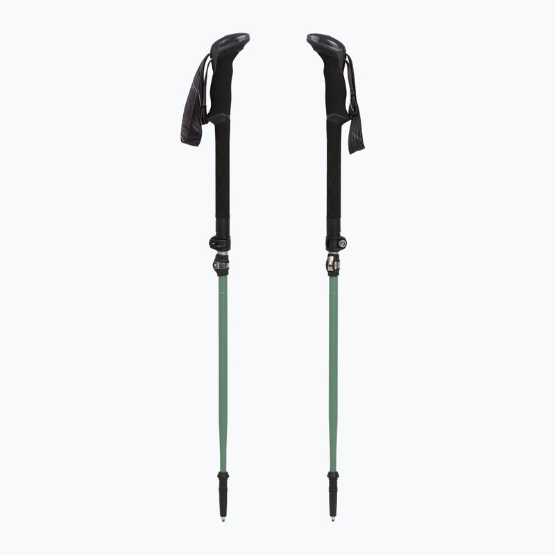 Trekkingstöcke LEKI Makalu FX TA silver/greygreen/white 5