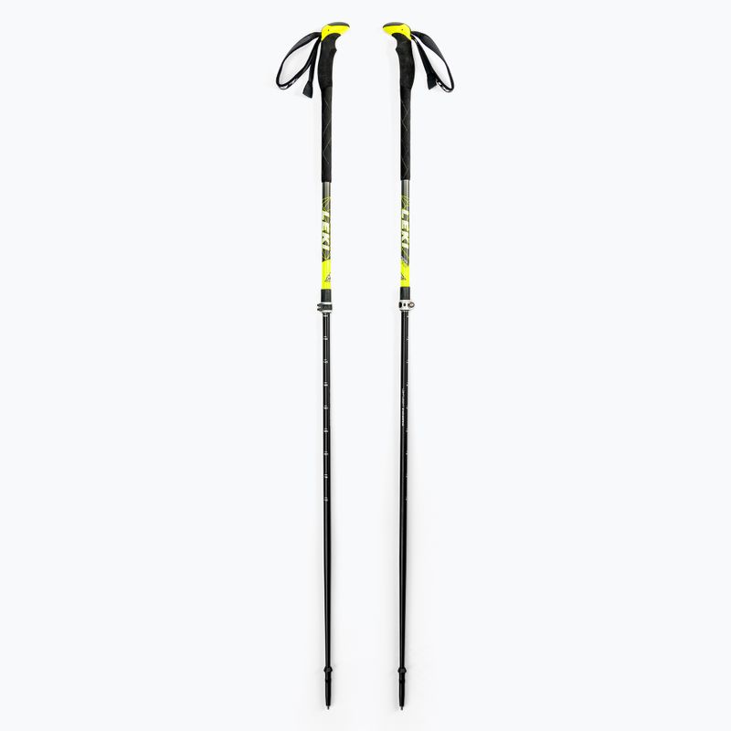 LEKI Aergon 2 Skistöcke schwarz 6362736