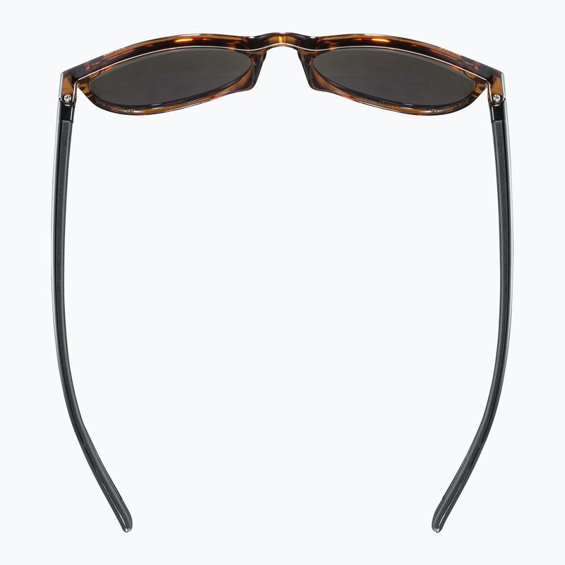 UVEX Sonnenbrille Lgl 43 havanna schwarz/grün spiegelnd 4