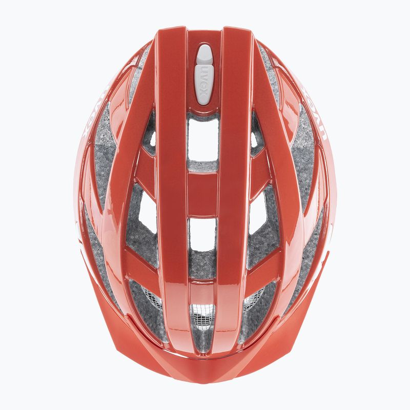 UVEX Fahrradhelm I-vo 3D Grapefruit 5