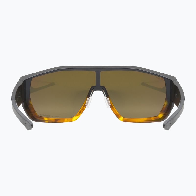UVEX Mtn Style CV havanna matt fade/verspiegelt champagner Sonnenbrille 3