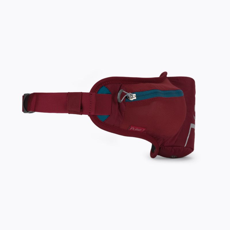 Deuter Hüfttasche Pulse 1 rot 391012150000 3