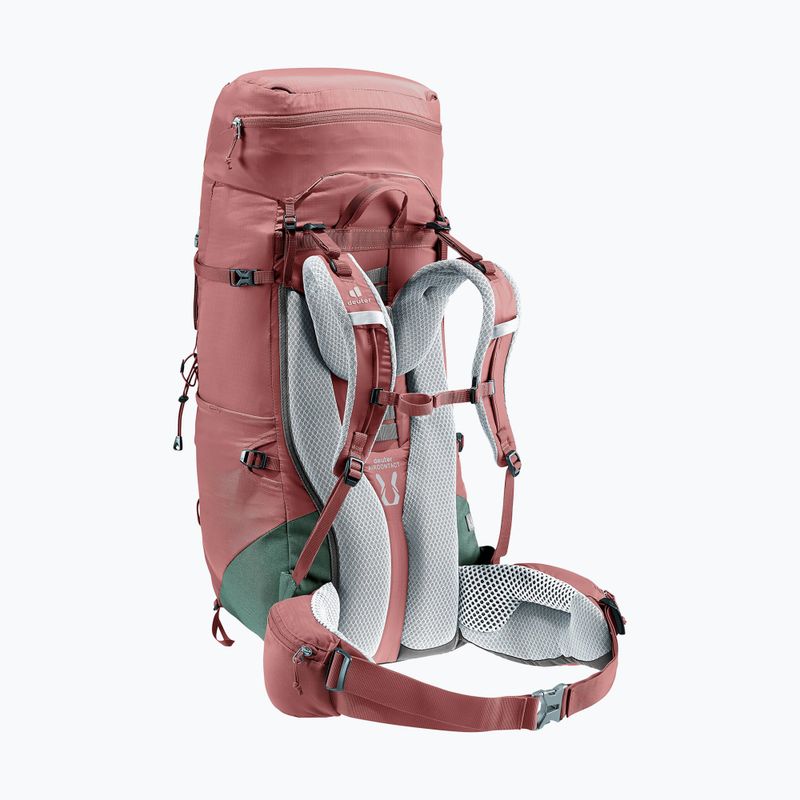Damen-Trekking-Rucksack deuter Aircontact Lite 45 + 10 SL 55 l 334022352150 caspia/ivy 3