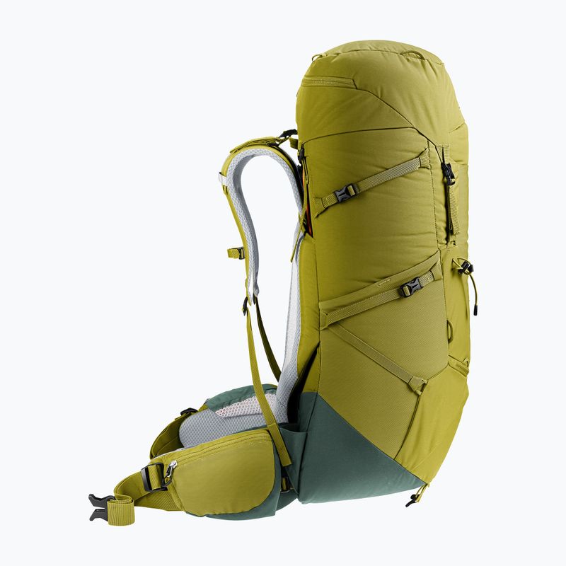 Deuter Aircontact Core 50+10 l cactus/ivy Trekking-Rucksack 3
