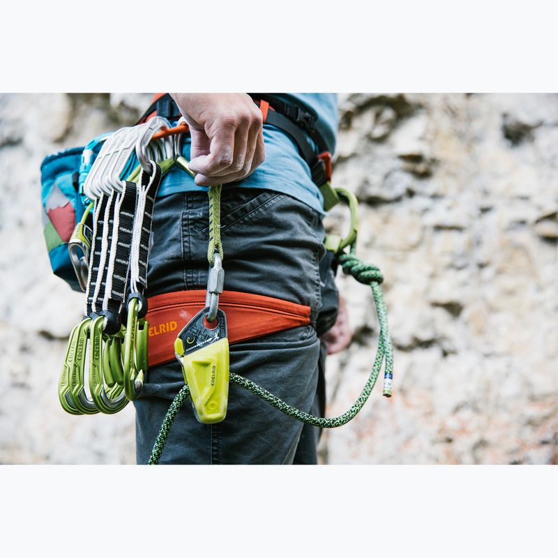 EDELRID Sicherungsgerät Ohm oasis 3