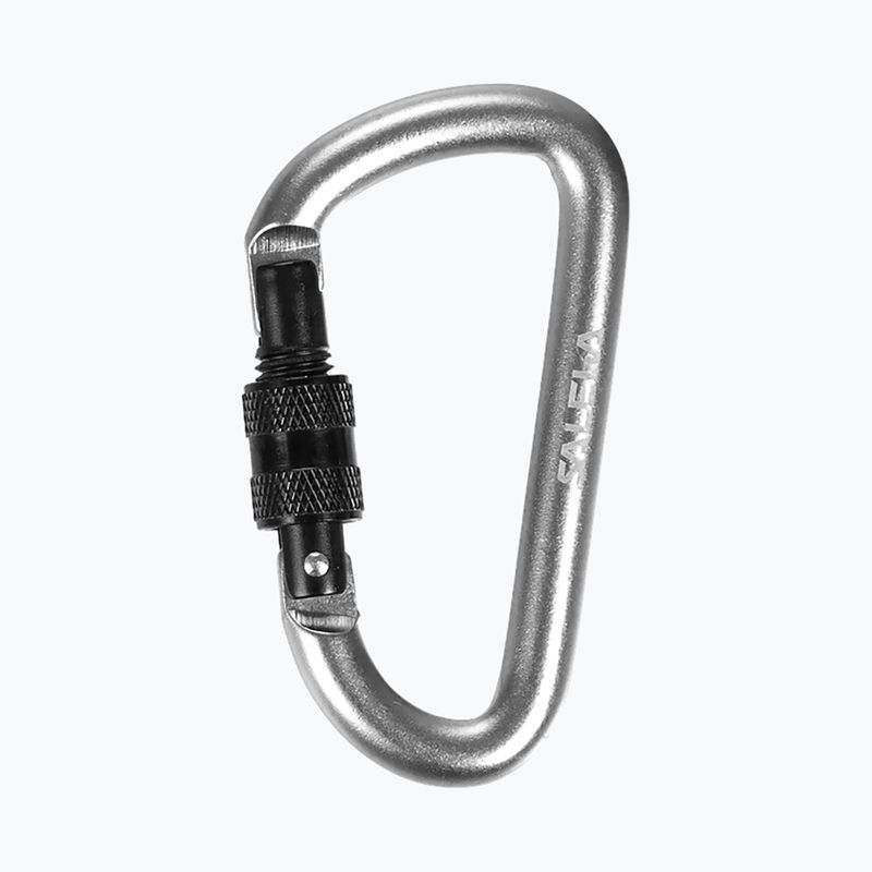 Salewa D-Shape Carbiner mit Schraube silber 00-0000034102